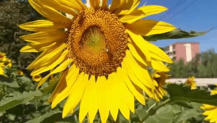 推荐一个假期亲子出游的好地方,北京亦庄周末去哪儿玩