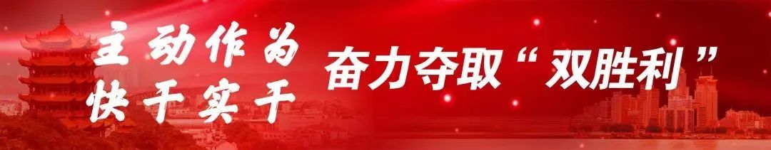 2018武汉马拉松东湖赛段,武汉国际马拉松