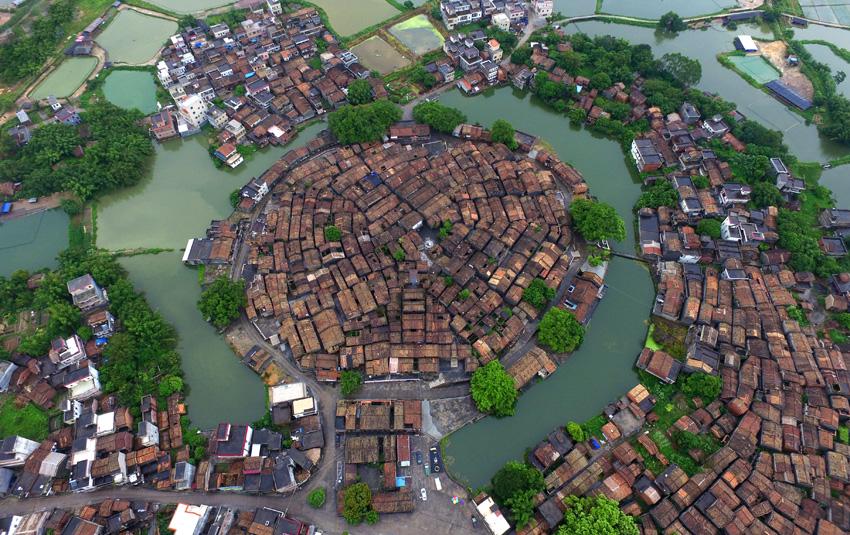 以拳会友完整版视频,以拳会友完整视频