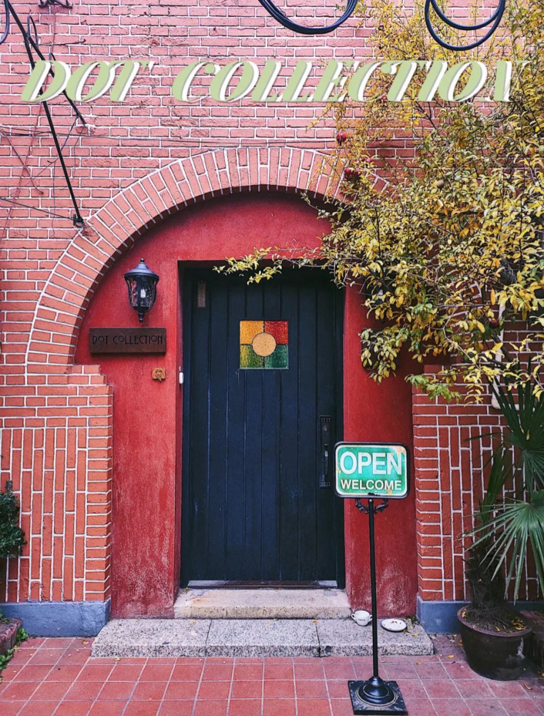 年轻人都爱的宝藏国货,年轻人都爱的粤语