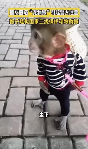 被铁链绑住，注射避孕药，连续伺候几百人后，她挣扎着死去……