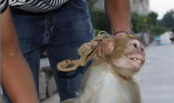 被铁链绑住，注射避孕药，连续伺候几百人后，她挣扎着死去……