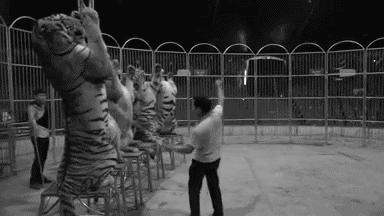 被铁链绑住，注射避孕药，连续伺候几百人后，她挣扎着死去……