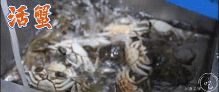 9.9元抢购大闸蟹,9.9就能吃到的大闸蟹