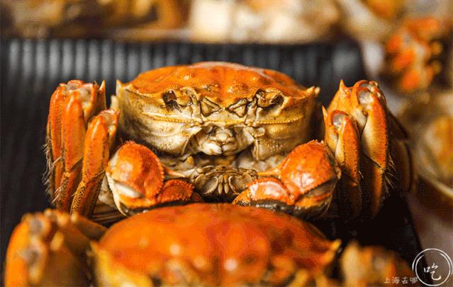 9.9元抢购大闸蟹,9.9就能吃到的大闸蟹