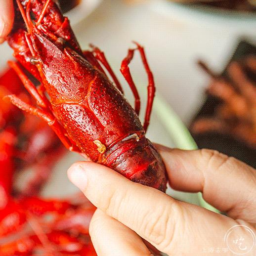 9.9元抢购大闸蟹,9.9就能吃到的大闸蟹