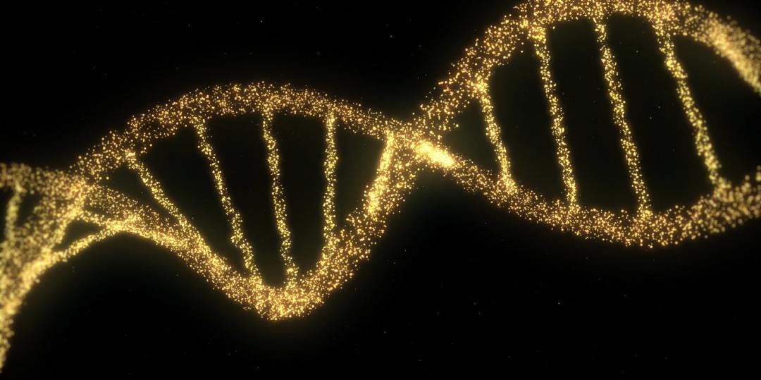 护肤|听说护肤品里TA最冤了