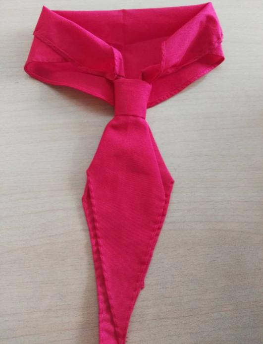 队徽改字,少先队队徽的改变