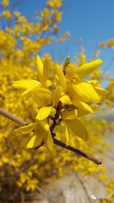 晚间悦读|运动是最好的“抗病良药”！（附各年龄段运动方案）