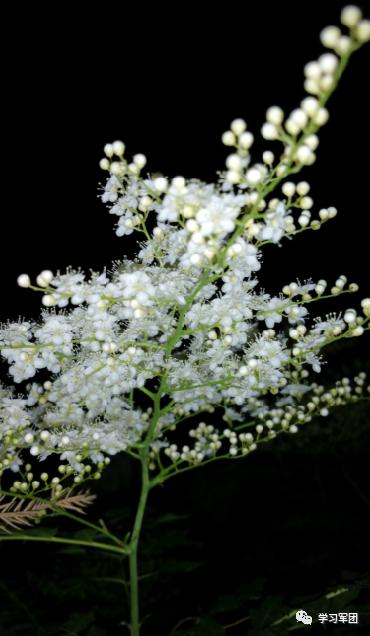 晚间悦读|运动是最好的“抗病良药”！（附各年龄段运动方案）