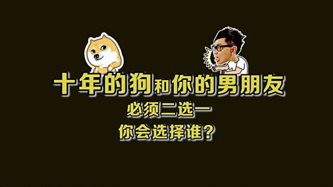 养了十年的狗和出生的婴儿,养了10年的狗和男朋友你选谁
