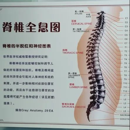 万病生于脊—深圳著名书法家金熙长整脊亲历记