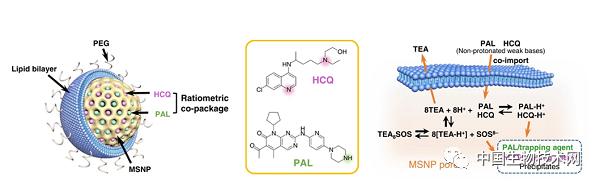 纳米刀治疗胰腺癌的效果及副作用,最新抗胰腺癌新药