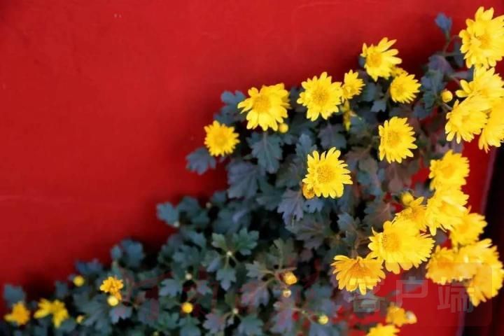 开封国庆节旅行攻略最新,开封十一旅游攻略