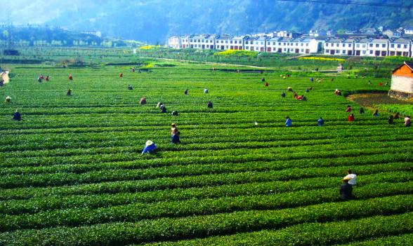 解码安康,解码高质量发展陕西