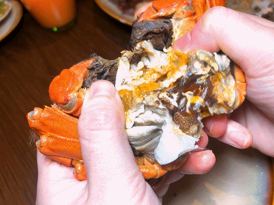 听说没解禁的你们在等上海大促，大波的酒店美食，这就来了