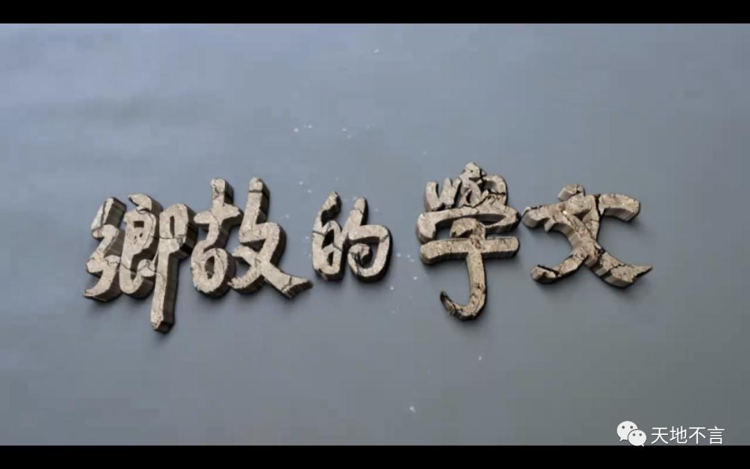 毕飞宇苏北地域文化,毕飞宇在文学界什么地位