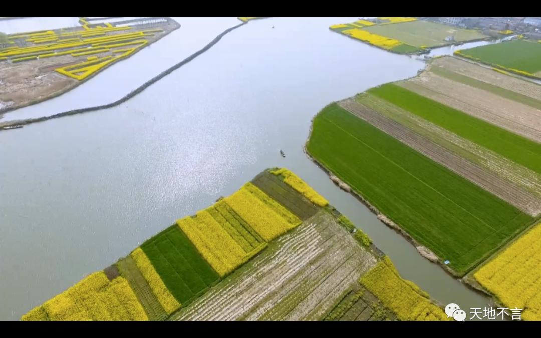 毕飞宇苏北地域文化,毕飞宇在文学界什么地位