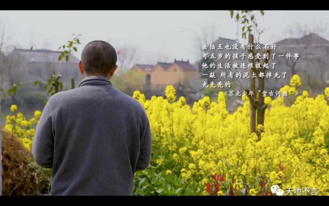 毕飞宇苏北地域文化,毕飞宇在文学界什么地位