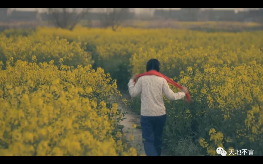 毕飞宇苏北地域文化,毕飞宇在文学界什么地位