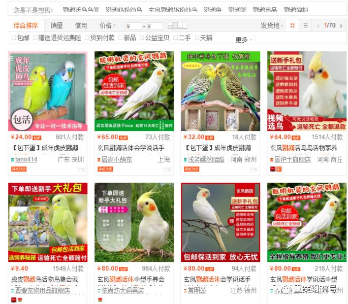 电商能卖活体宠物吗,电商可以卖活体宠物吗