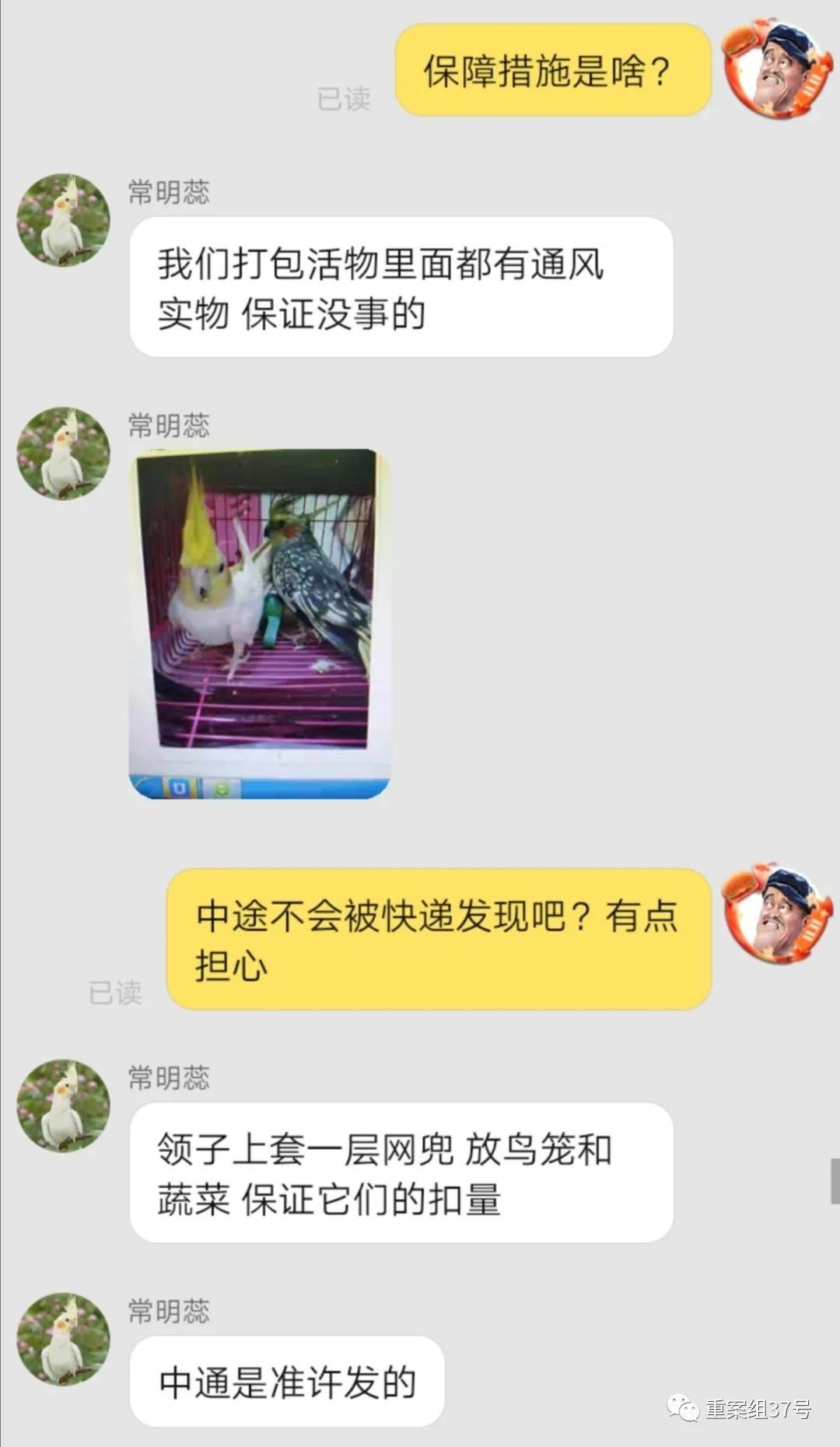 电商能卖活体宠物吗,电商可以卖活体宠物吗