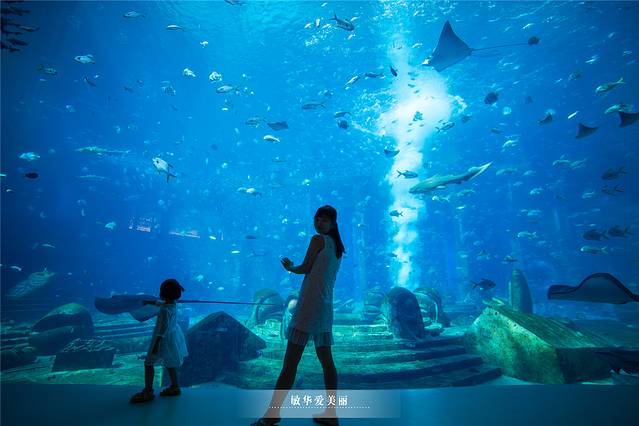 三亚亲子游攻略3-6岁最佳方案,三亚亲子游吃什么