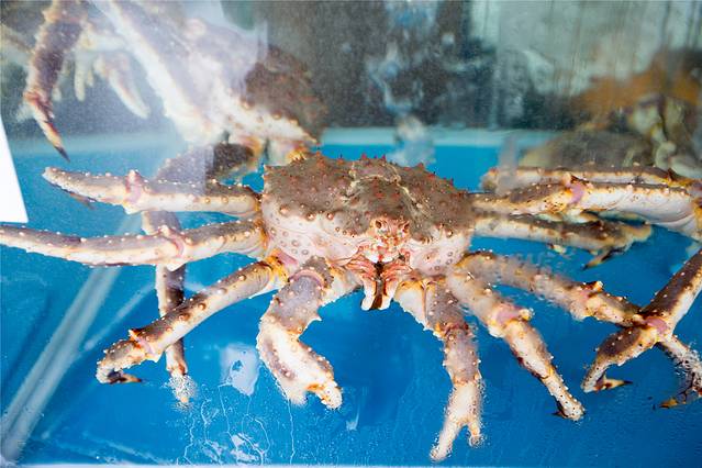 三亚亲子游攻略3-6岁最佳方案,三亚亲子游吃什么