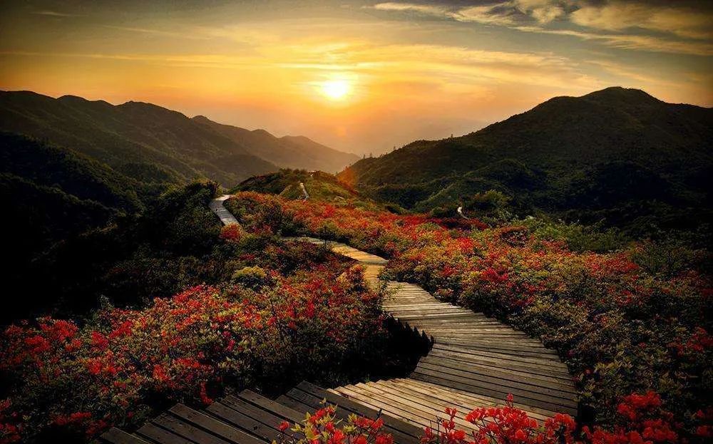 十一期间湖南长沙旅游攻略景点,长沙超强旅游攻略