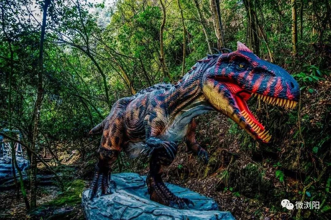 十一期间湖南长沙旅游攻略景点,长沙超强旅游攻略