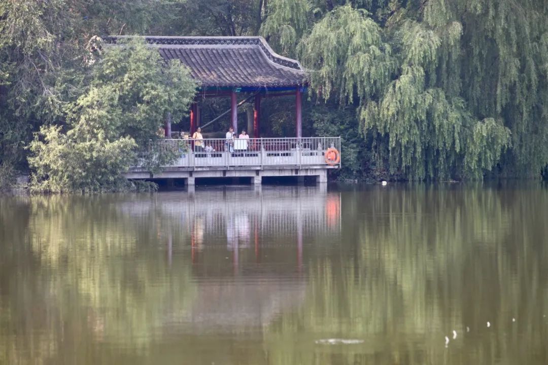 适合周末亲子游的地方,亦庄有什么公园可以玩