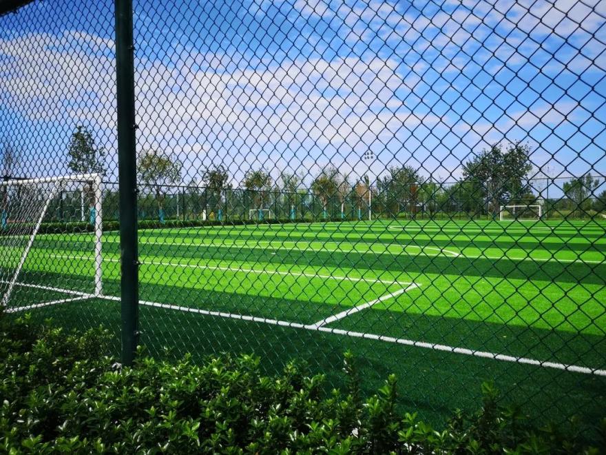 适合周末亲子游的地方,亦庄有什么公园可以玩