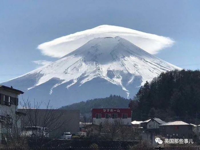猫头鹰没有眼睛能说话吗,猫头鹰没眼皮
