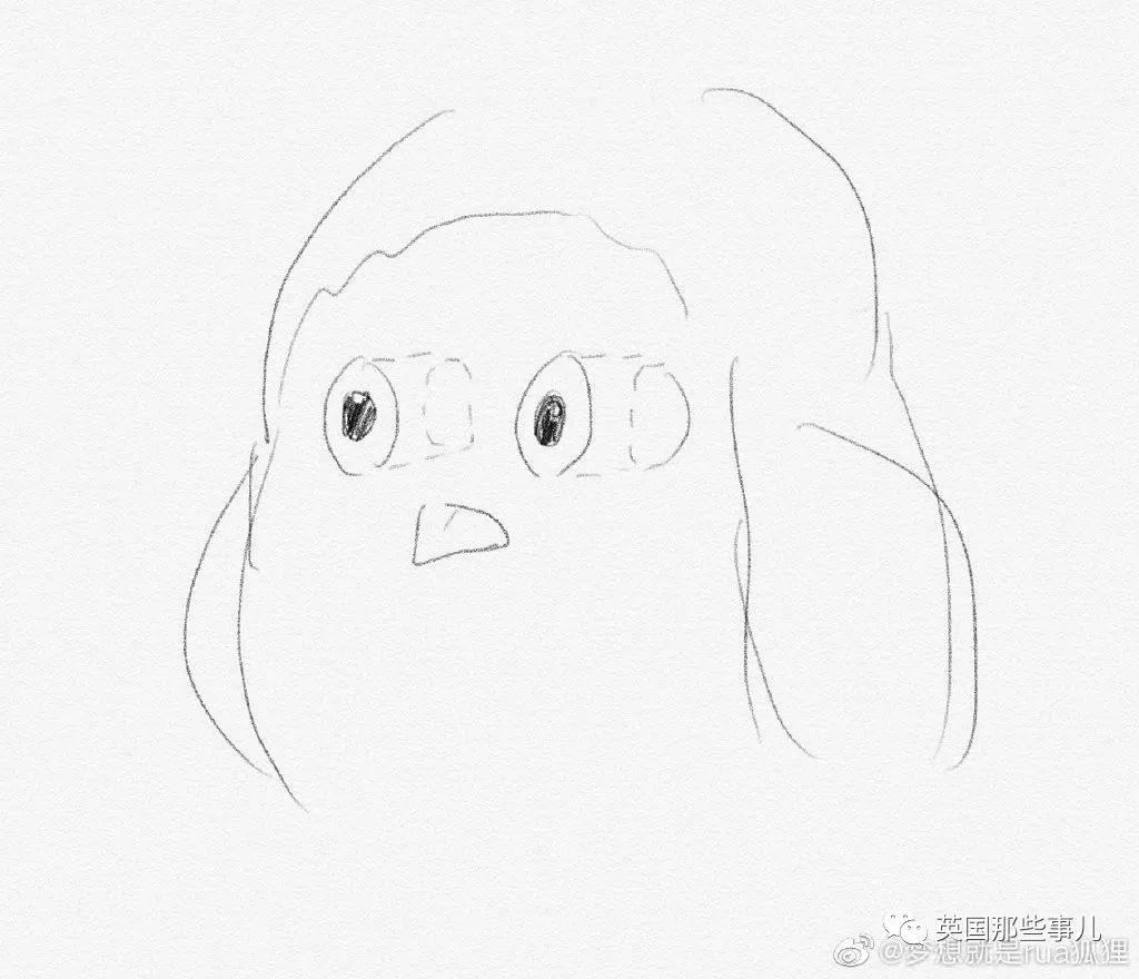 猫头鹰没有眼睛能说话吗,猫头鹰没眼皮