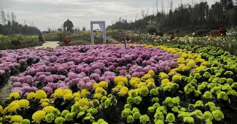 广汉哪里有好吃的地方,广汉有什么好吃的推荐