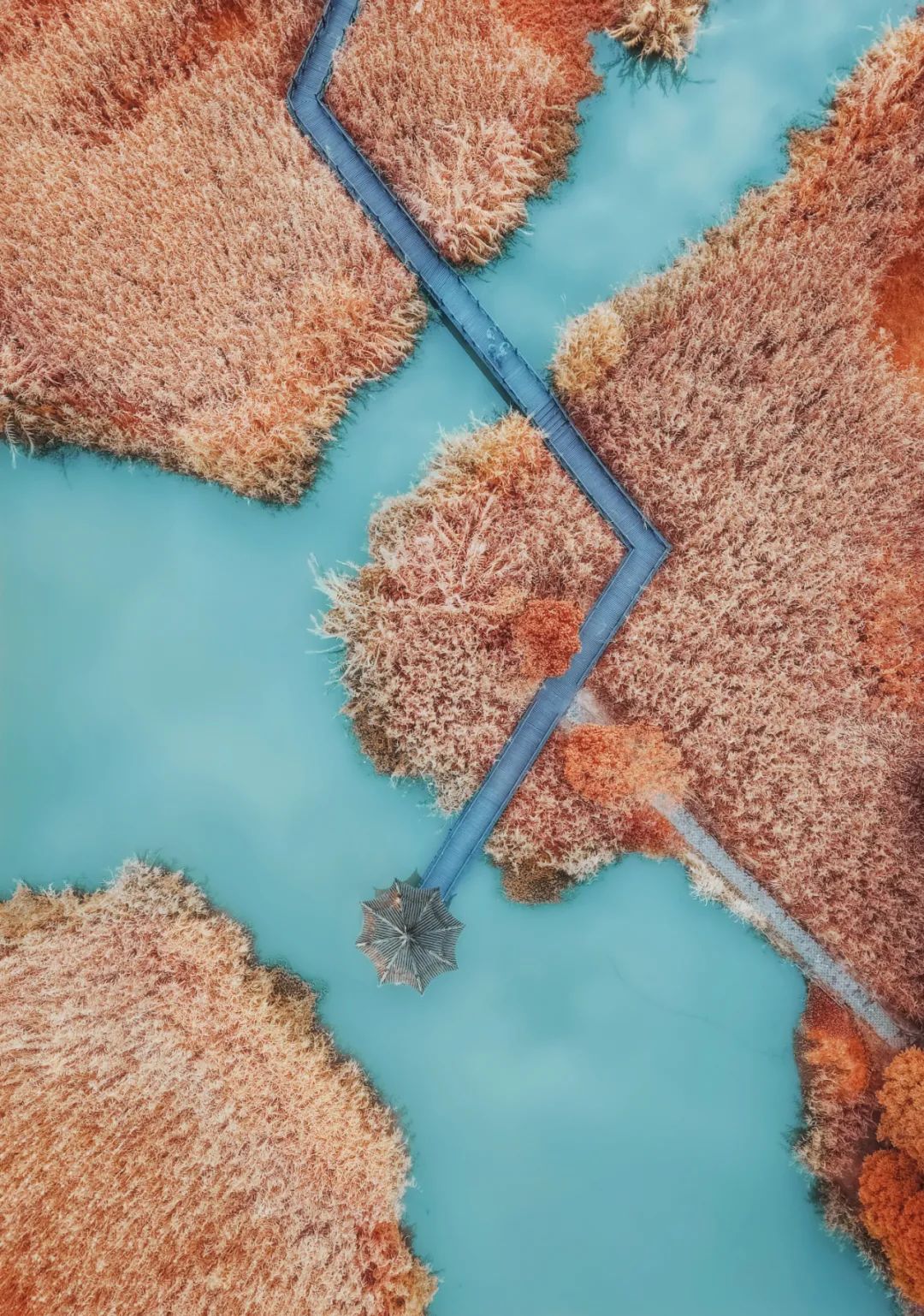 苏州是哪个省的城市啊,苏州一座充满江南小调的城市