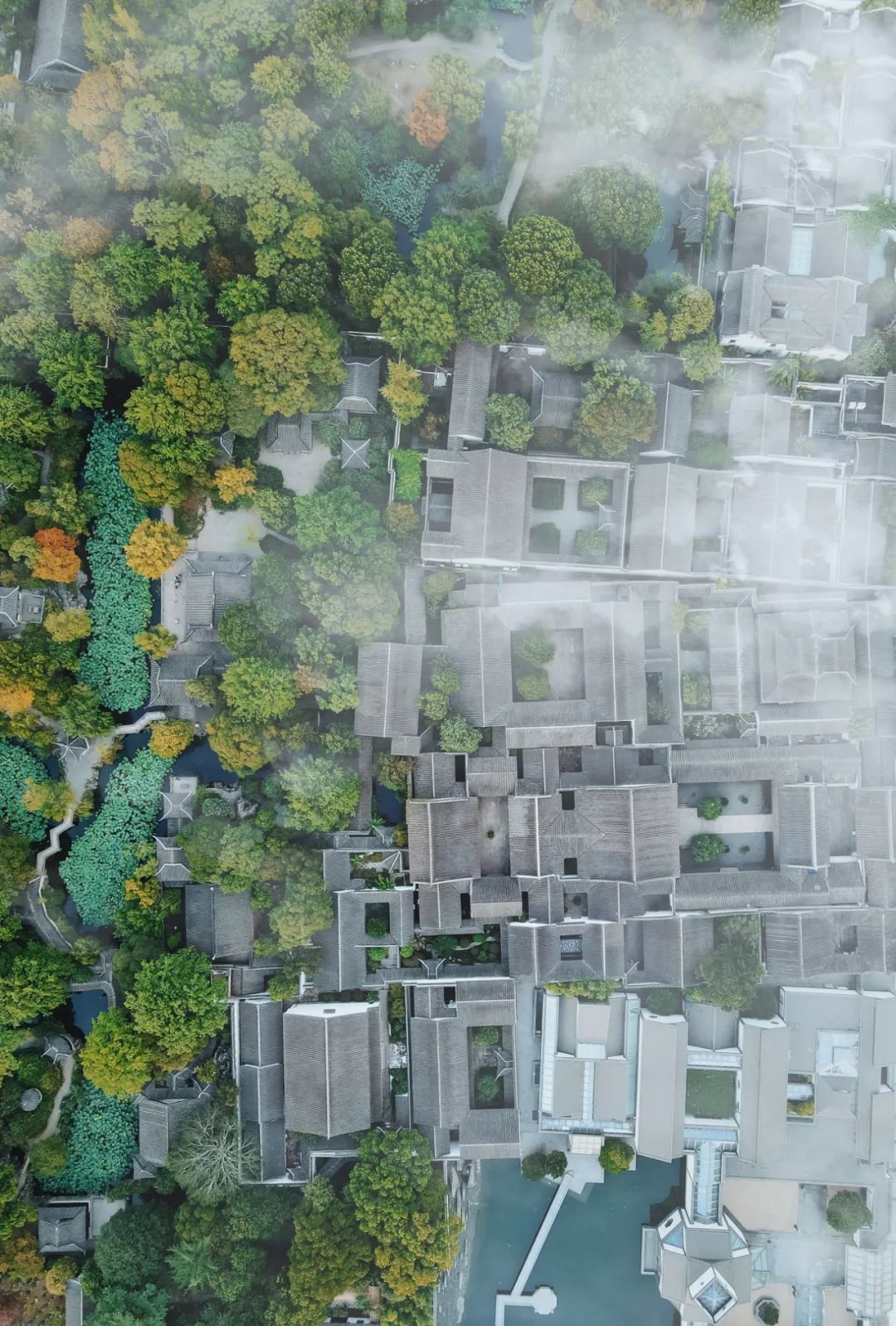 苏州是哪个省的城市啊,苏州一座充满江南小调的城市