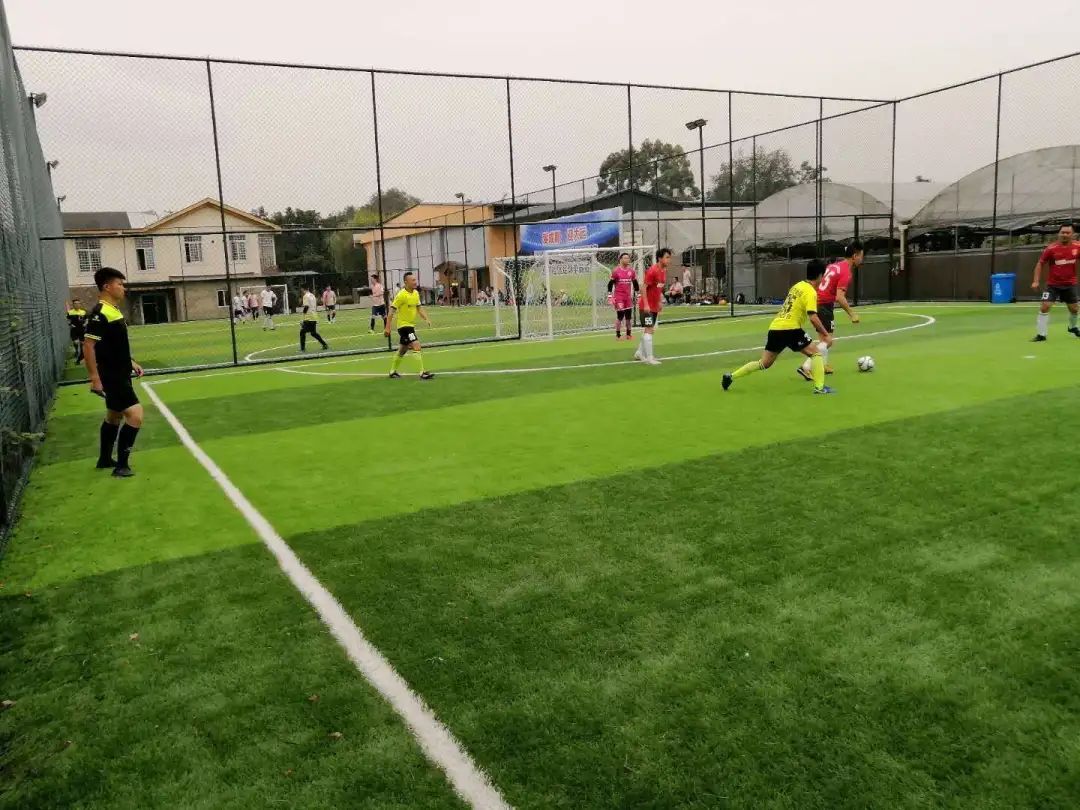 青白江足球场推荐,青白江特色风景