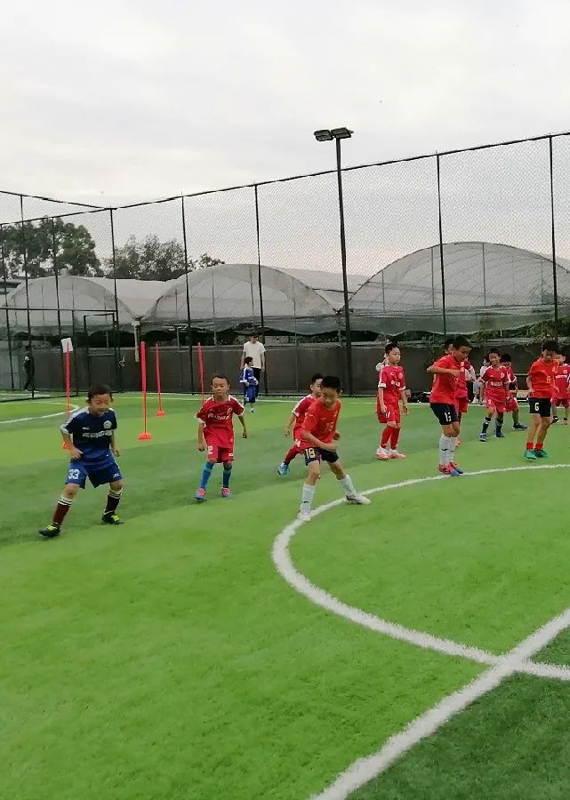 青白江足球场推荐,青白江特色风景