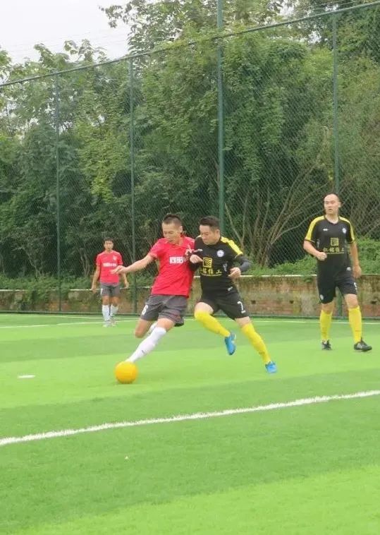 青白江足球场推荐,青白江特色风景