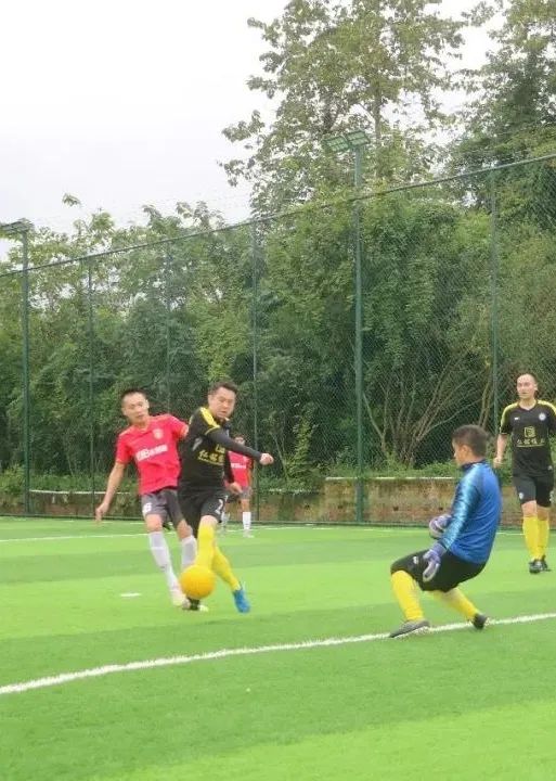 青白江足球场推荐,青白江特色风景