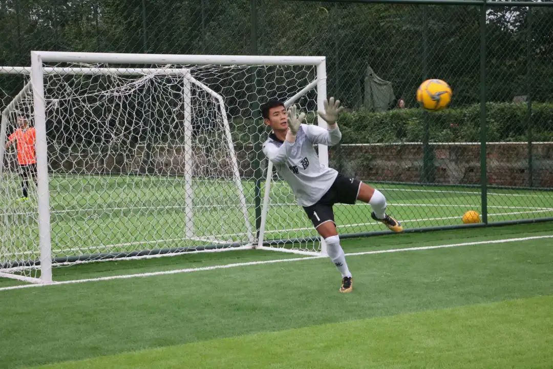 青白江足球场推荐,青白江特色风景