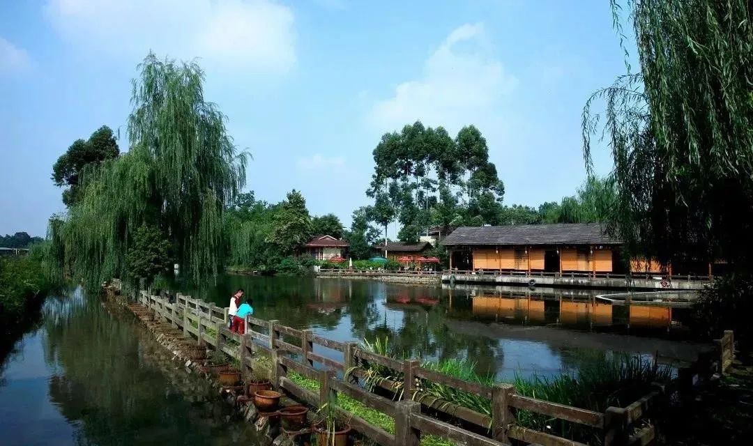 青白江足球场推荐,青白江特色风景