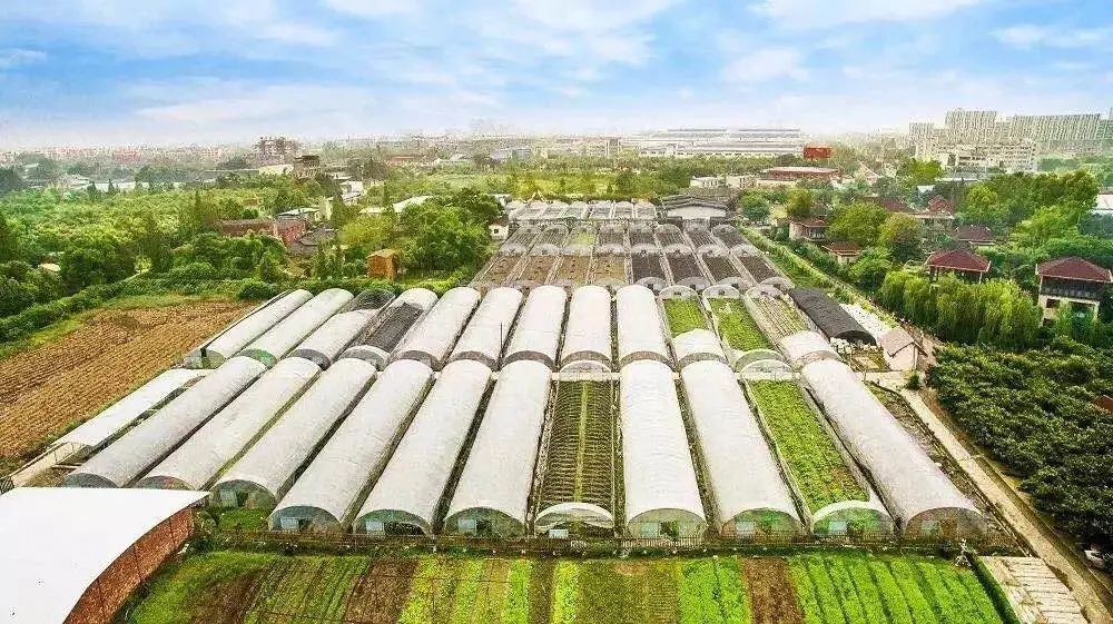 青白江足球场推荐,青白江特色风景