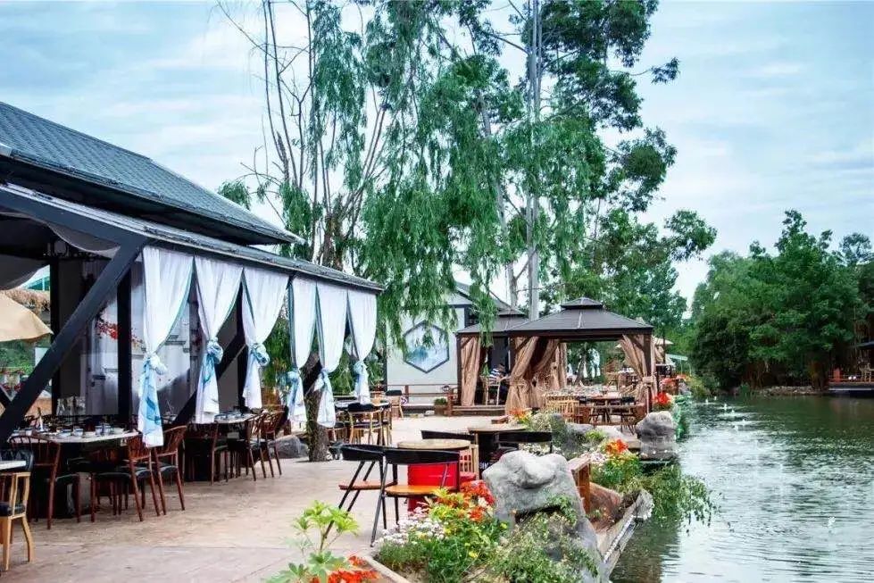 青白江足球场推荐,青白江特色风景