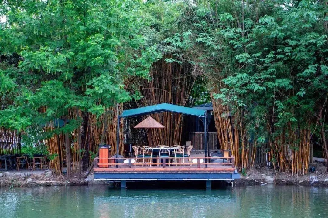 青白江足球场推荐,青白江特色风景