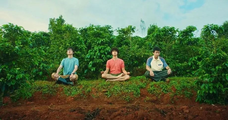 实打实的好看，为它走进影院不后悔