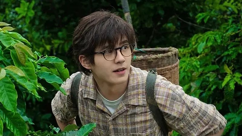 实打实的好看，为它走进影院不后悔