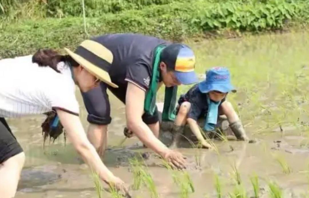 儿子5岁还没尝过盐，有必要吗？网友吵翻了，刘璇：只用运动员一半标准在当妈