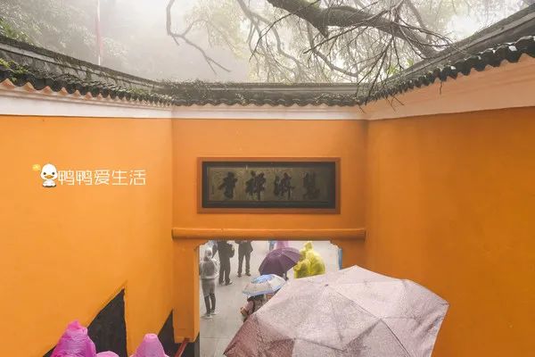 <html>
<head><title>502BadGateway</title></head>
<body>
<center><h1>502BadGateway</h1></center>
<hr><center>nginx</center>
</body>
</html>
<!--apaddingtodisableMSIEandChromefriendlyerrorpage-->
<!--apaddingtodisableMSIEandChromefriendlyerrorpage-->
<!--apaddingtodisableMSIEandChromefriendlyerrorpage-->
<!--apaddingtodisableMSIEandChromefriendlyerrorpage-->
<!--apaddingtodisableMSIEandChromefriendlyerrorpage-->
<!--apaddingtodisableMSIEandChromefriendlyerrorpage-->
